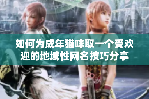 如何为成年猫咪取一个受欢迎的地域性网名技巧分享