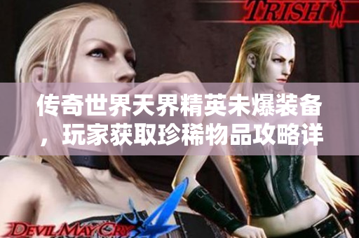 传奇世界天界精英未爆装备，玩家获取珍稀物品攻略详解